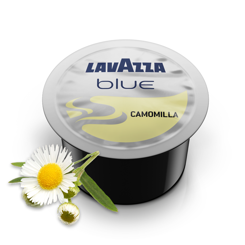 [LVZ0545] CAMOMILLE BLUE X50
