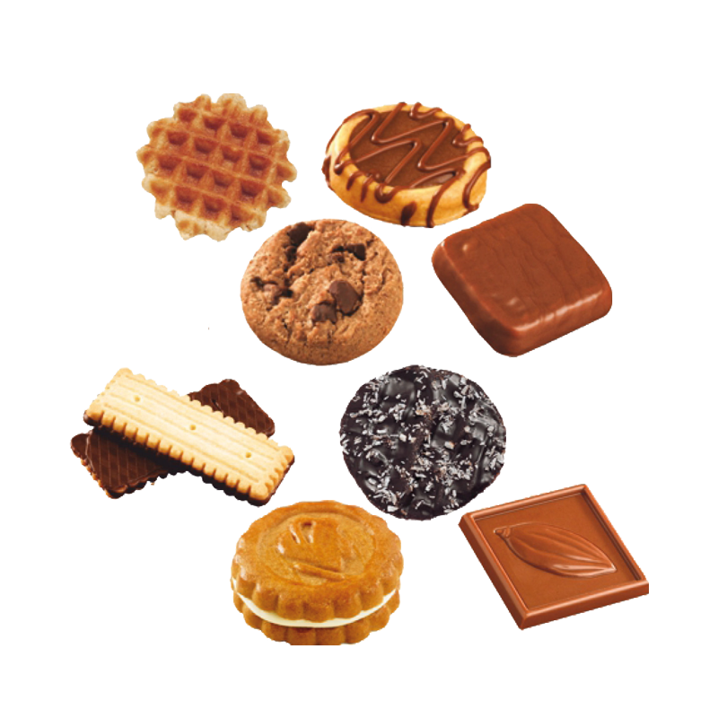 BISCUITS PATRICIAX120 BRICHARD