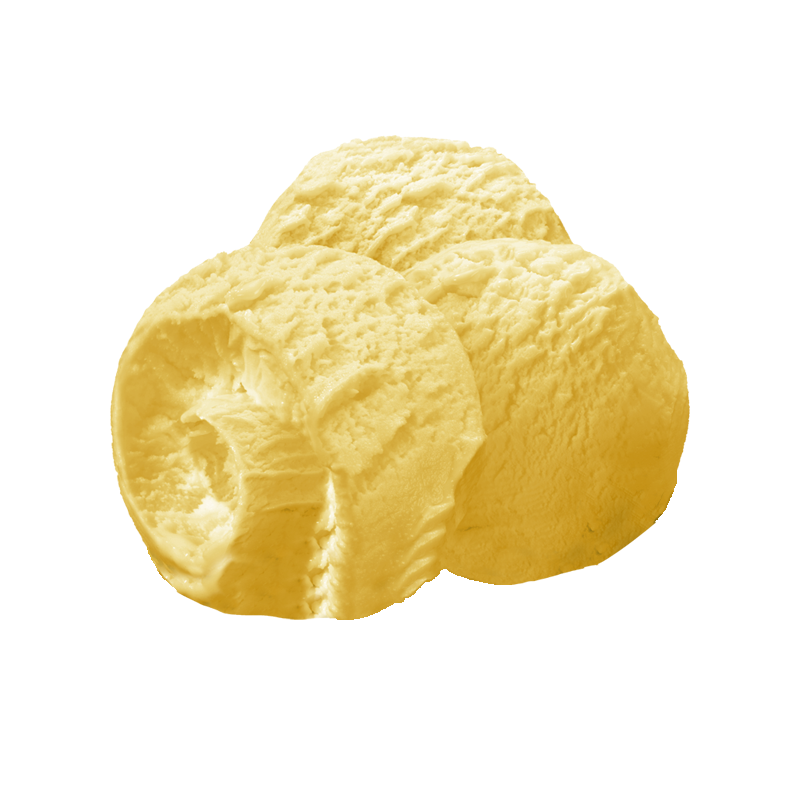 I SORBETTI ARANCIA OVALE 2.5 L