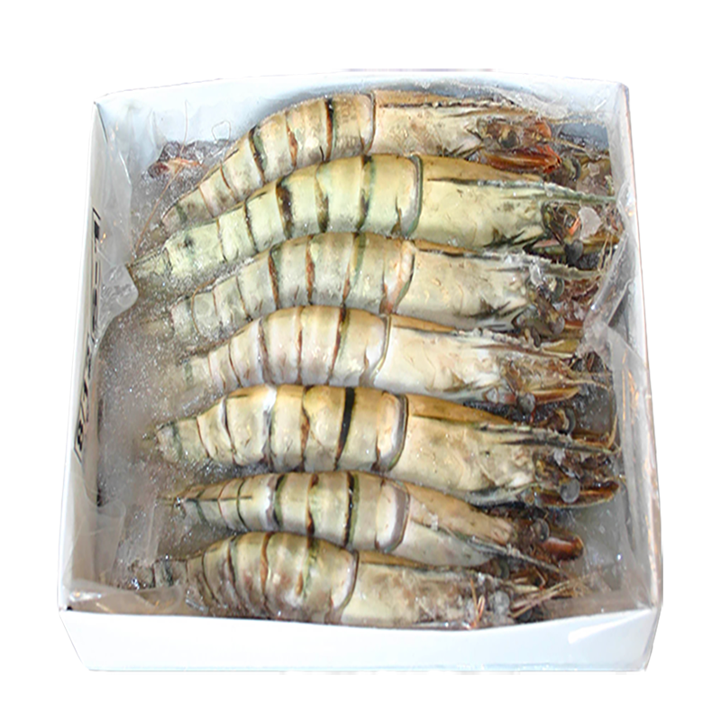 GAMBAS 8/12 - 800G