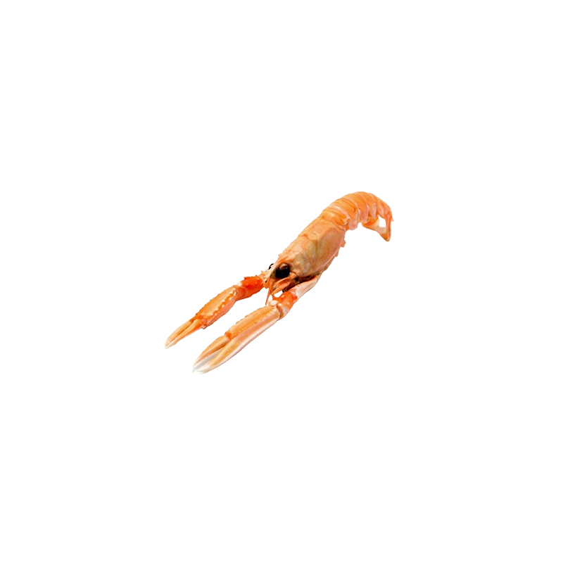 LANGOUSTINES ENTIERES SEMI IQF - 800G