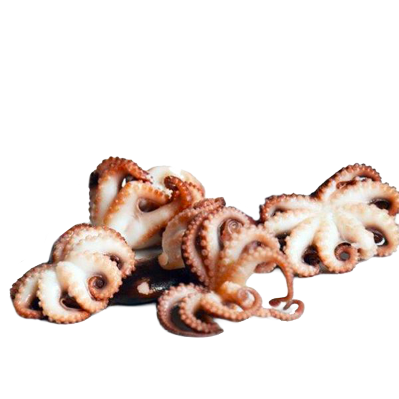 BABY POULPES ENT, NET, 20/40