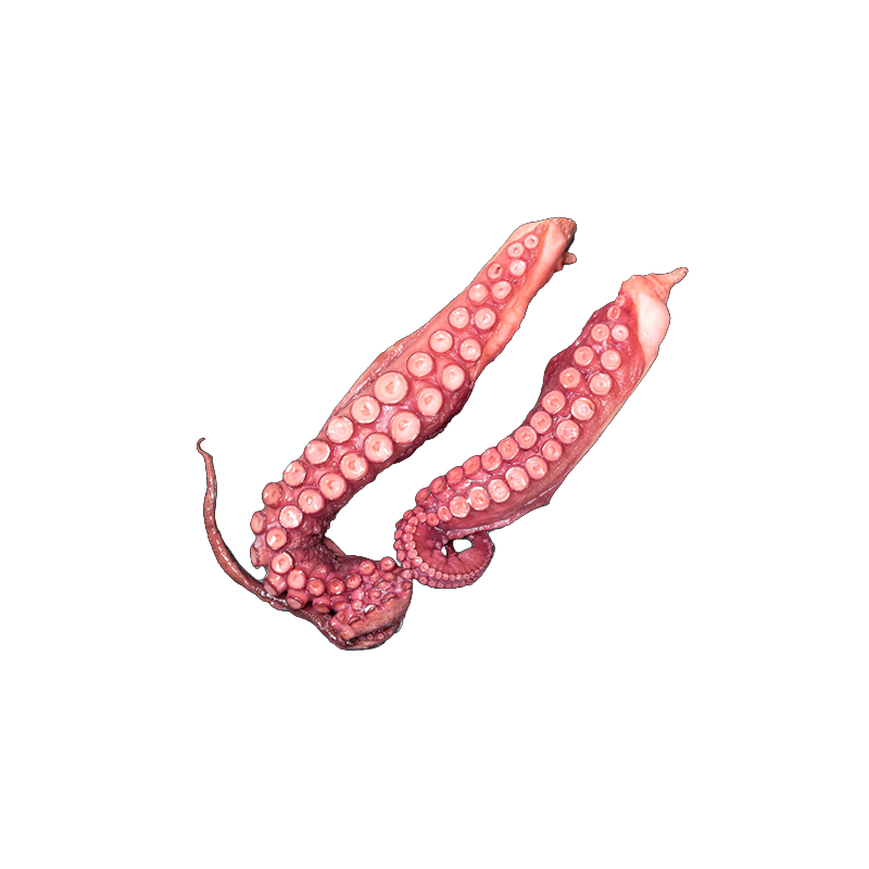 TENTACULES POULPE 500G SEAFOOD