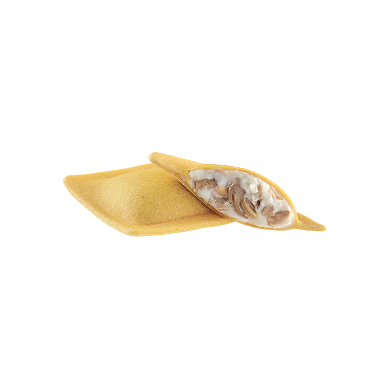 [SGTC32] RAVIOLACCI AI CARCIOFI  3K SGT