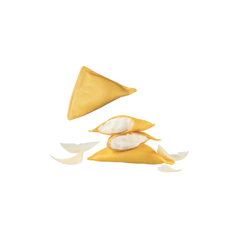 TRIANGOLETTI PARMIGIANO REG,