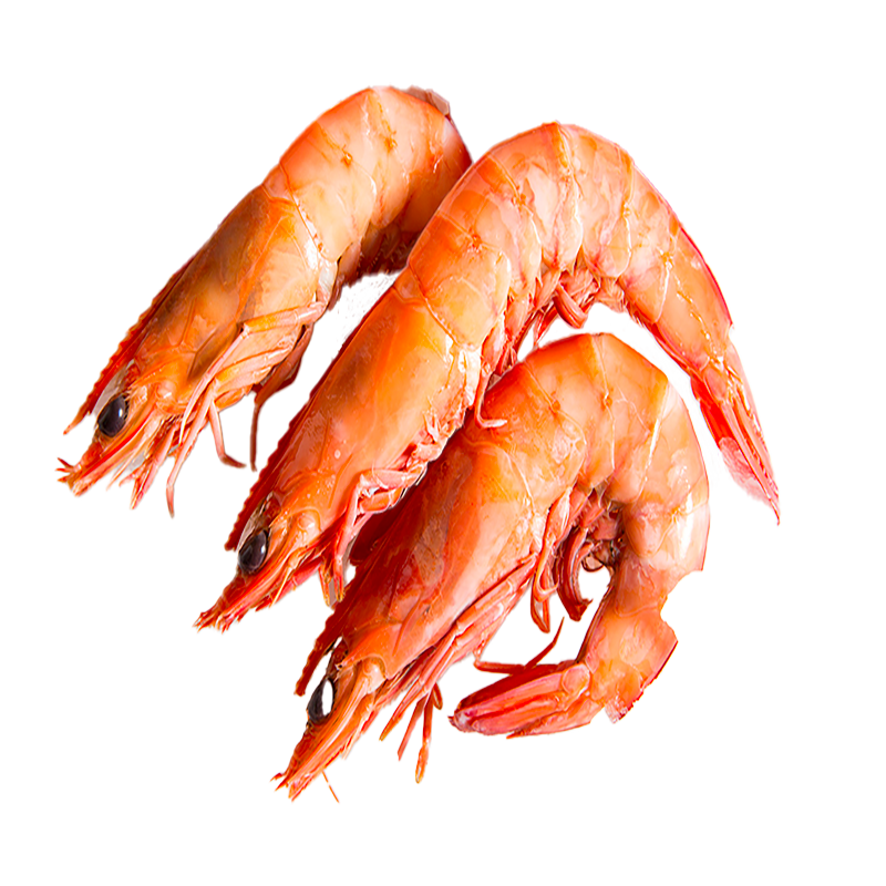 GAMBERI ARG, L1 S,ISIDRO C/B