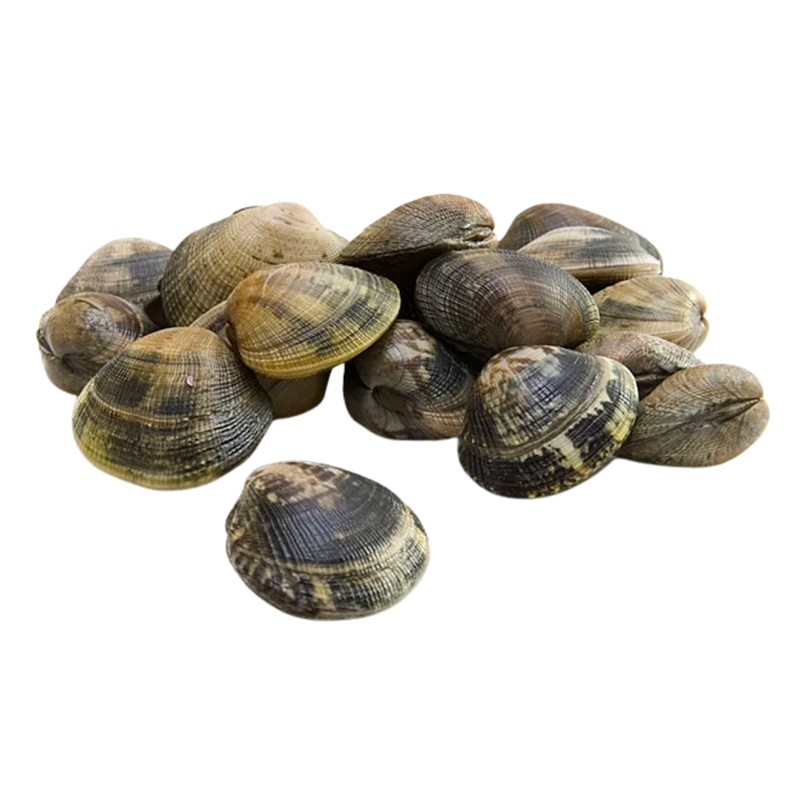 VONGOLE C/GUSCIO 60/80 1KG