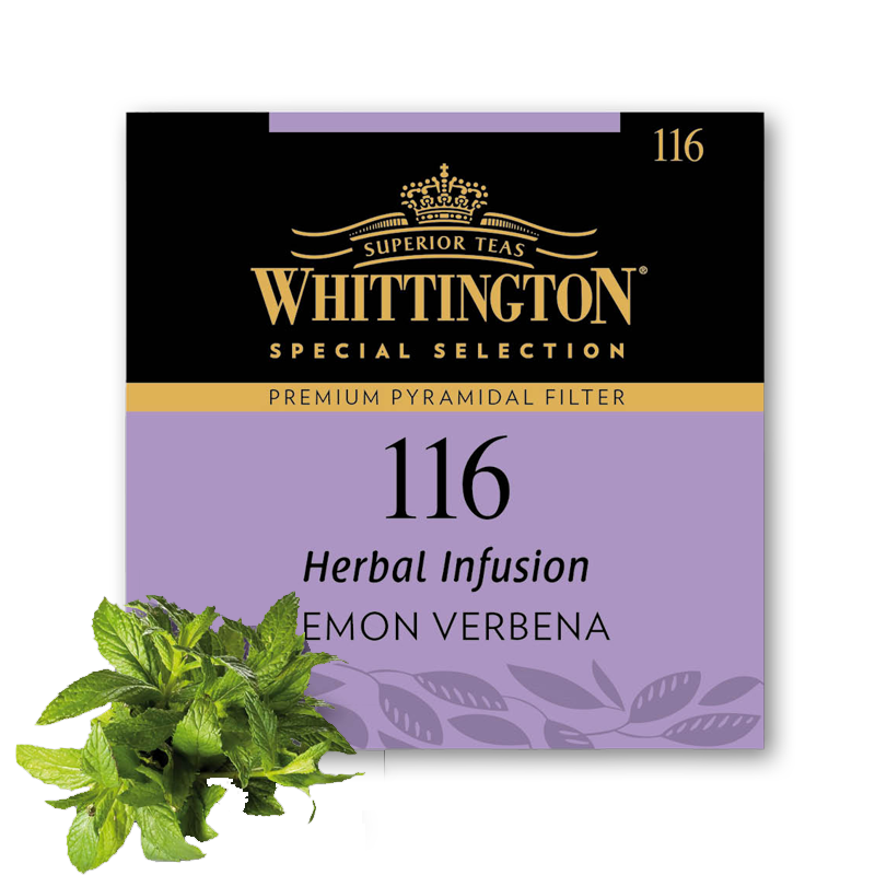 INFUS LEMON VERB N116 X15 WHIT